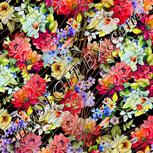 Colour:A