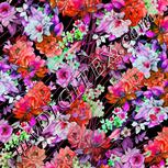 Colour:B