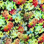 Colour:K