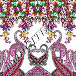 Colour:B
