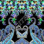 Colour:F