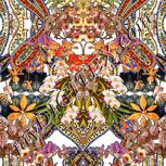 Colour:A