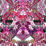 Colour:B