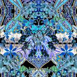 Colour:F