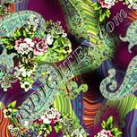 Colour:K