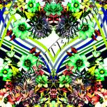 Colour:D