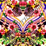 Colour:J