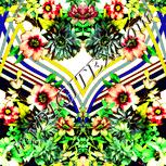 Colour:K