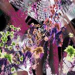 Colour:B