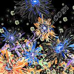 Colour:F