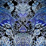 Colour:F