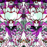 Colour:B