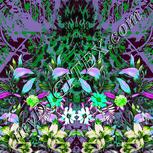 Colour:C