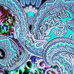 Colour:F