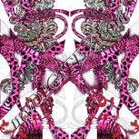 Colour:B