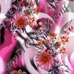 Colour:B