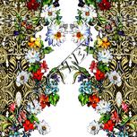 Colour:A