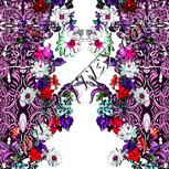 Colour:B