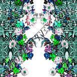 Colour:C