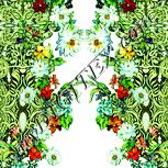 Colour:K
