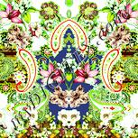 Colour:K