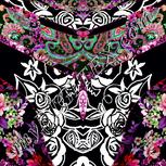 Colour:B