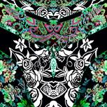 Colour:C
