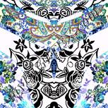 Colour:F