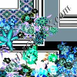 Colour:F