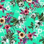 Colour:B