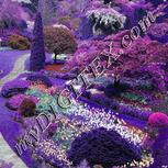 Colour:B