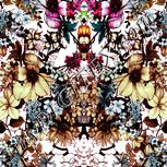 Colour:A