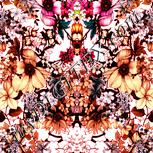Colour:J