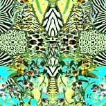 Colour:K