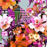 Colour:B