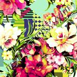 Colour:K