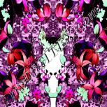 Colour:B