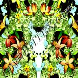 Colour:K