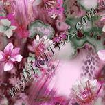 Colour:B