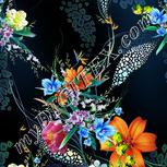Colour:A