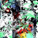 Colour:F