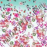 Colour:B