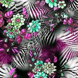 Colour:B