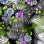 Colour:D