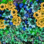 Colour:C