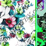 Colour:C