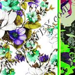 Colour:D