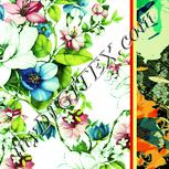 Colour:K