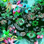 Colour:C