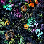 Colour:F